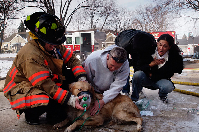 Fireman saving dog