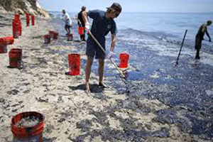 volunteers clean the beach