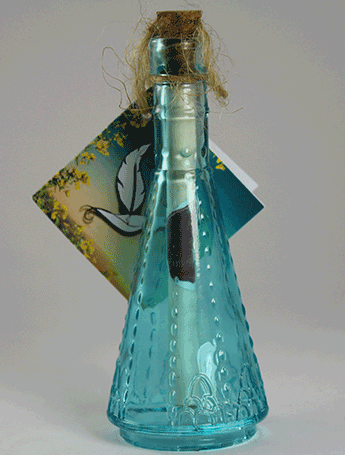 message in a bottle